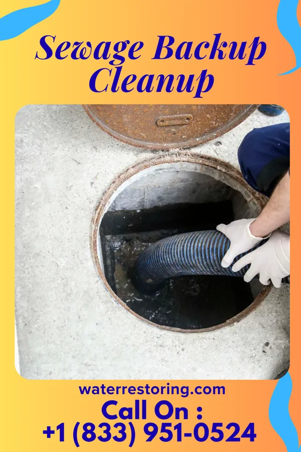 Sewage Backup Cleanup in Berlin, NH