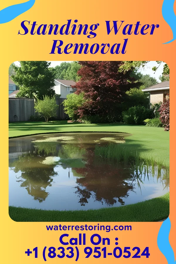 Standing Water Removal in Berlin, NH